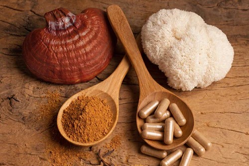 Vitalpilze Heilpilze